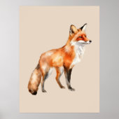 Aquarellfuchs Poster (Vorne)