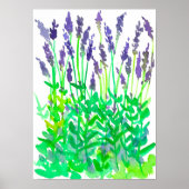 Aquarellgarten Lavendel Poster (Vorne)