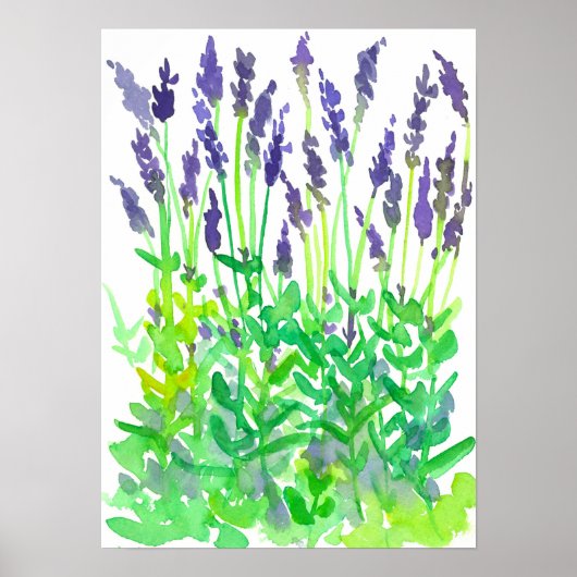 Aquarellgarten Lavendel Poster (Vorne)