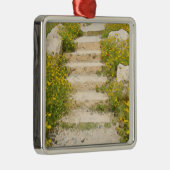 Aquarellgarten Silbernes Ornament (Rechts)