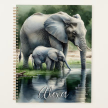 Aquarellillustration von Mama und Baby Elephant