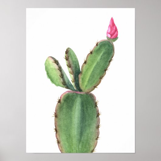 Aquarellkaktus Pink Blume Poster (Vorne)