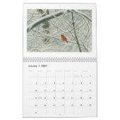 Aquarellkardinale 2026 kalender (Jan 2027)