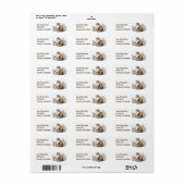 Aquarellkatze mit Blume (Vorne)