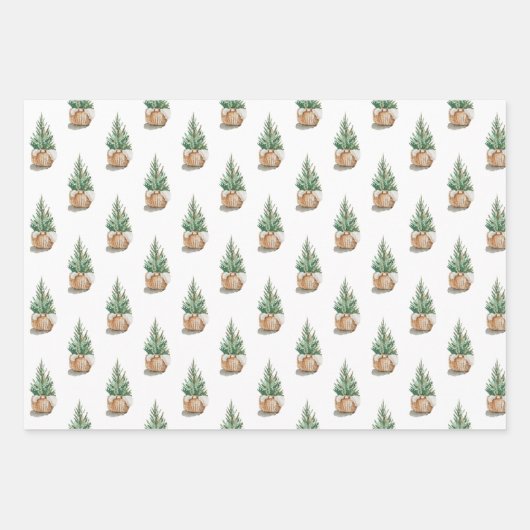 Aquarellkiefer Weihnachtsblumenbaum Geschenkpapier Set (Vorderseite 2)