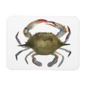 Aquarellkrebse - Grau Magnet (Horizontal)