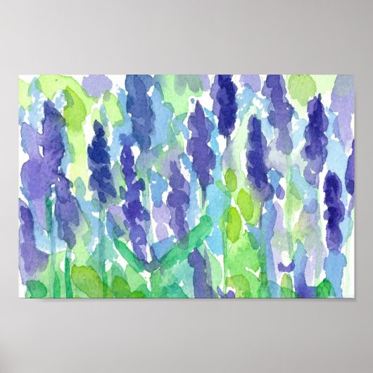 Aquarelllavender-Blume Malerei Poster (Vorne)
