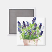 Aquarelllavender Magnet (Vorderseite/Rückseite)