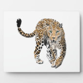 Aquarellleopard-Urwaldkatze grün gestrichen Fotoplatte (Vorderseite)