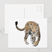 Aquarellleopard-Urwaldkatze grün gestrichen Postkarte (Vorne/Hinten)