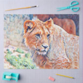 Aquarelllion Seidenpapier (Basteln)