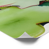 Aquarellmalerei auf Lotus-Blume Poster (Ecke)