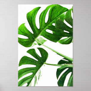 Aquarellmalerei auf Monstera-Blätter #5 Poster