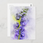 Aquarellmalerei aus der Haube des blühenden Mönchs Postkarte (Vorne/Hinten)