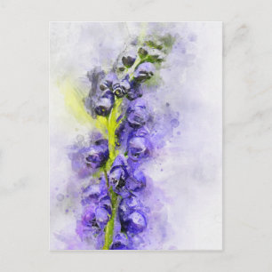 Aquarellmalerei aus der Haube des blühenden Mönchs Postkarte