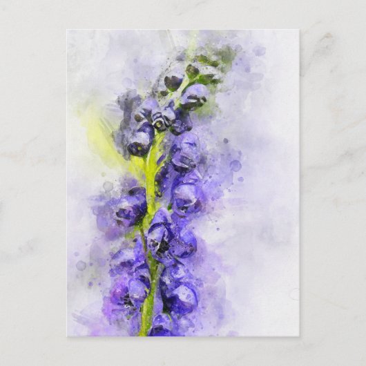 Aquarellmalerei aus der Haube des blühenden Mönchs Postkarte (Vorderseite)