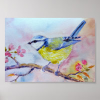 Aquarellmalerei Bluetit Blauer Vogel