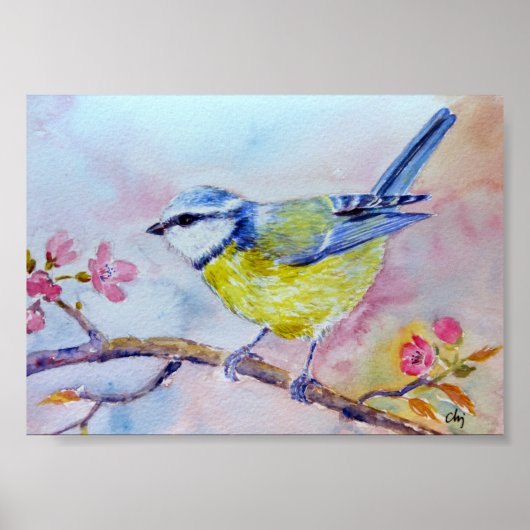 Aquarellmalerei Bluetit Blauer Vogel Poster (Vorne)
