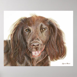 Aquarellmalerei Cocker Spaniel Hund Poster