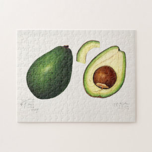 Aquarellmalerei der Avocado-Frucht (Persea) Puzzle
