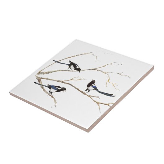 Aquarellmalerei der Familie Magpie Bird Fliese (Seite)