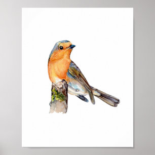 Aquarellmalerei Europäischer Rotkehlchen-Vogel Poster