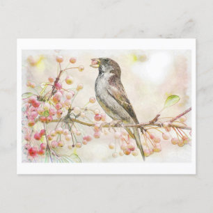Aquarellmalerei mit Sparrow Eating Berries Postkarte