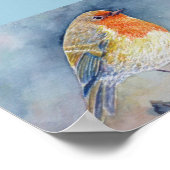 Aquarellmalerei Robin-Vogel Poster (Ecke)