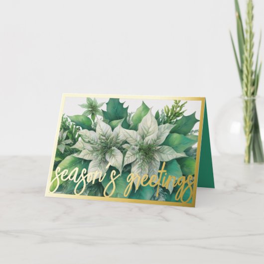 Aquarellmalerei Weiße Poinsettia Weihnachten (Vorderseite)