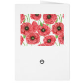 Aquarellmohn (Hinten)