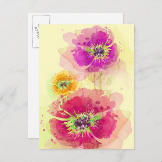 Aquarellmohn 2 postkarte (Vorne/Hinten)