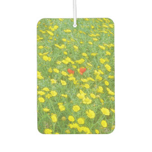 Aquarellmohn Autolufterfrischer