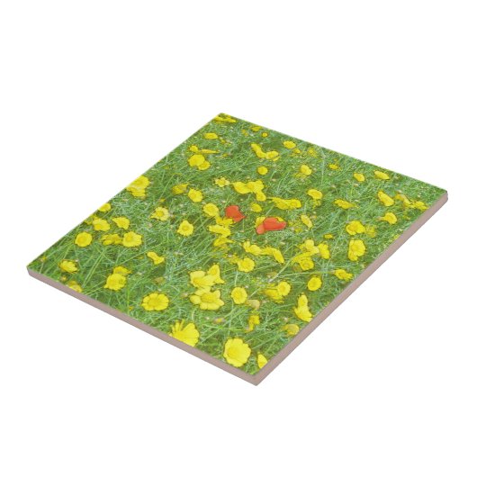 Aquarellmohn Fliese (Seite)