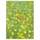 Aquarellmohn Klemmbrett (Rückseite)