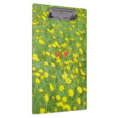 Aquarellmohn Klemmbrett (Rechts)