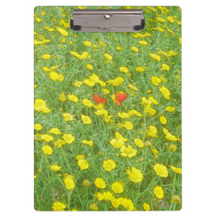 Aquarellmohn Klemmbrett