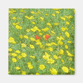 Aquarellmohn Magnet (Vorne)