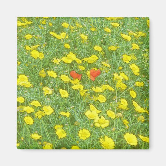 Aquarellmohn Magnet (Vorne)