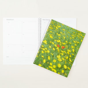 Aquarellmohn Planer