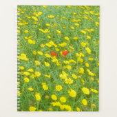Aquarellmohn Planer (Vorderseite)