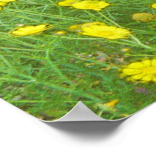 Aquarellmohn Poster (Ecke)