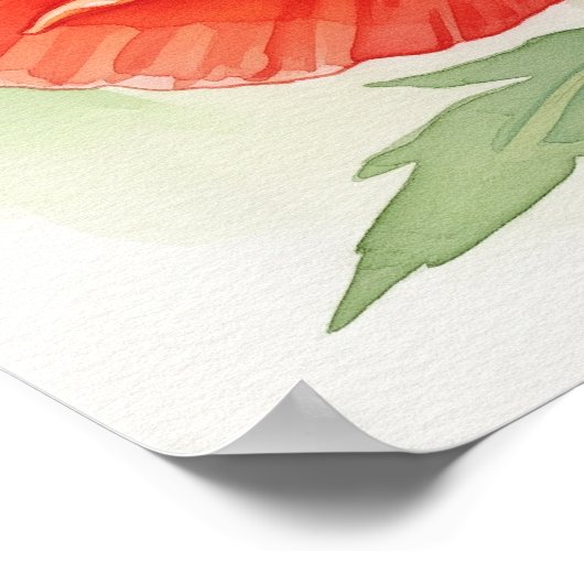 Aquarellmohn Poster (Ecke)