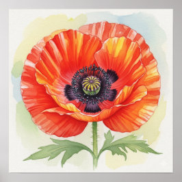 Aquarellmohn Poster