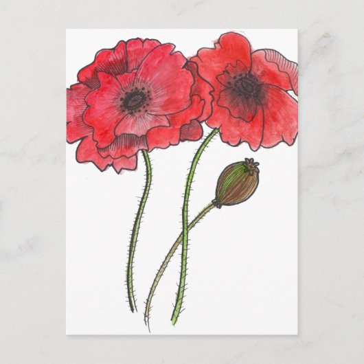Aquarellmohn Postkarte (Vorderseite)