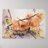 Aquarellnüsse Igel Poster (Vorne)