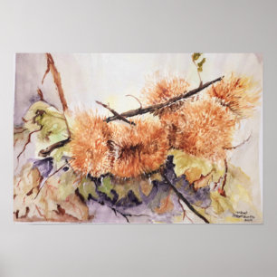 Aquarellnüsse Igel Poster