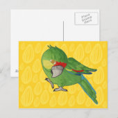 Aquarellpapagei Postkarte (Vorne/Hinten)