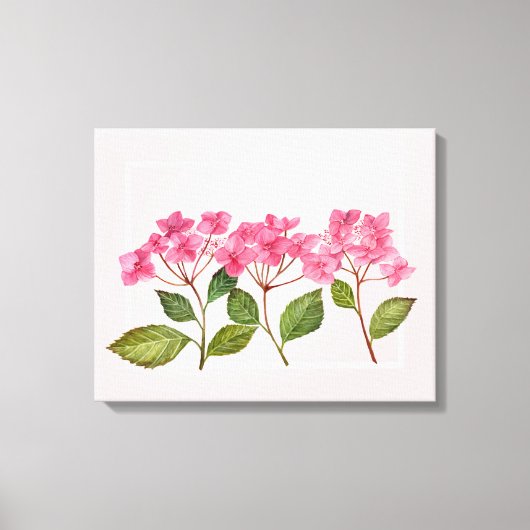 Aquarellpinke Hydrangea Lacecaps Illustration Leinwanddruck (Vorderseite)