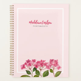 Aquarellpinke Hydrangea Lacecaps Illustration Planer