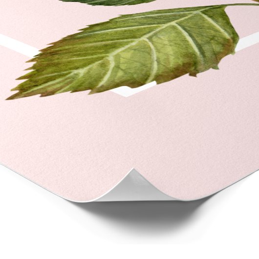 Aquarellpinke Hydrangea Lacecaps Illustration Poster (Ecke)